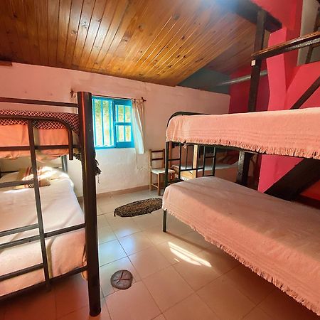 Onda Verde Hostel San Salvador de Jujuy Dış mekan fotoğraf